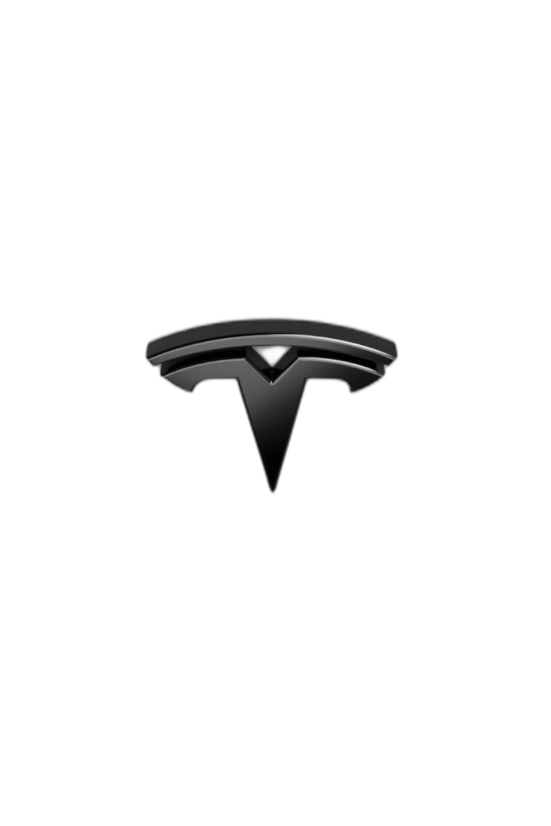 Tesla Ön Panjur Arması Tw